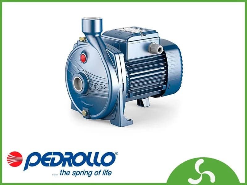 Pedrollo