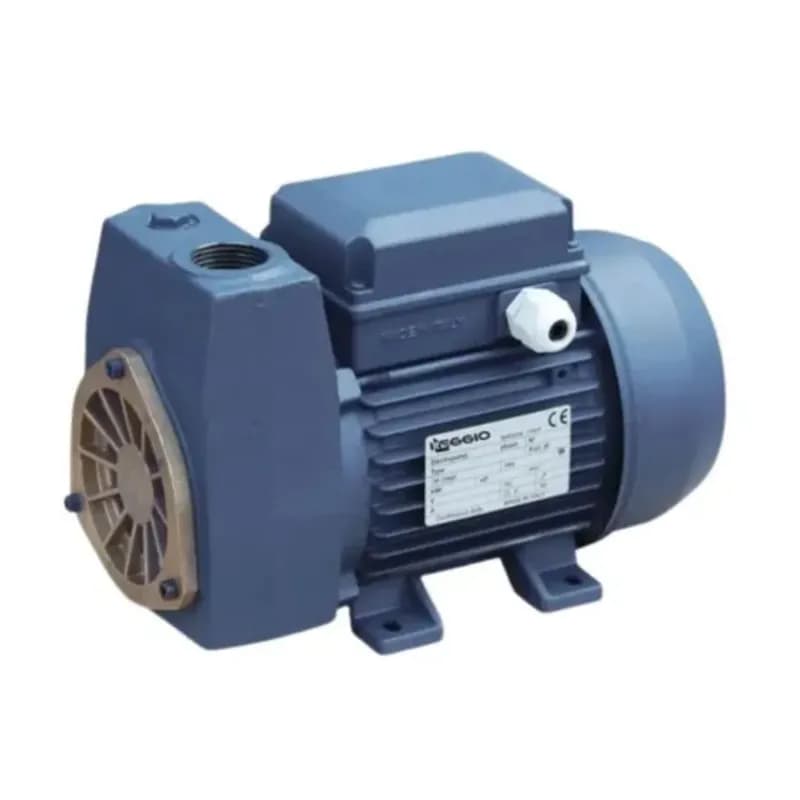Bomba marca Reggio Mod. Stal 100 1hp 220v